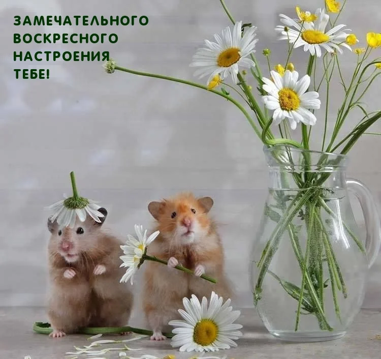 images_17908 (1).webp