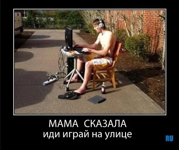 images_2459 (1).webp