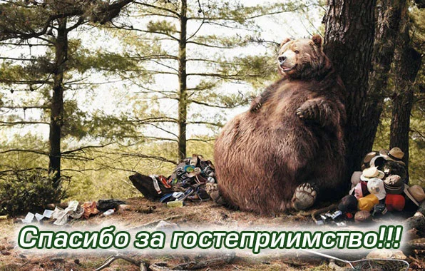 images_4455.webp