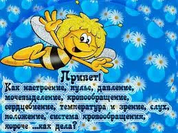 imagesCADAUQCD.webp