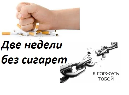 imagesпрпрр.webp