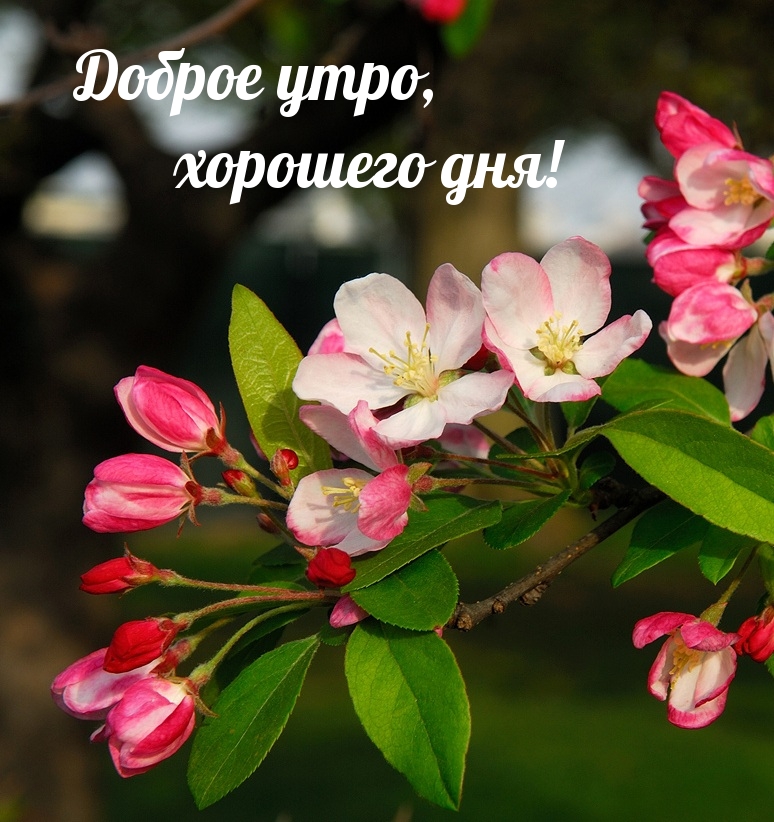imagetext_ru_22643.jpg