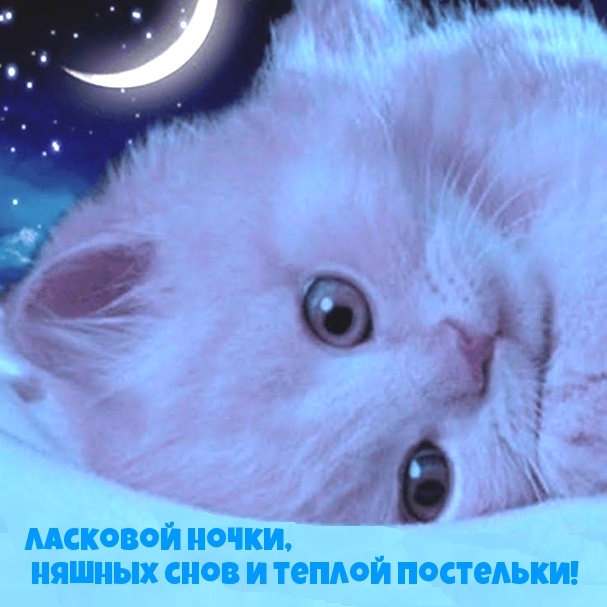 imagetext_ru_26163.jpg