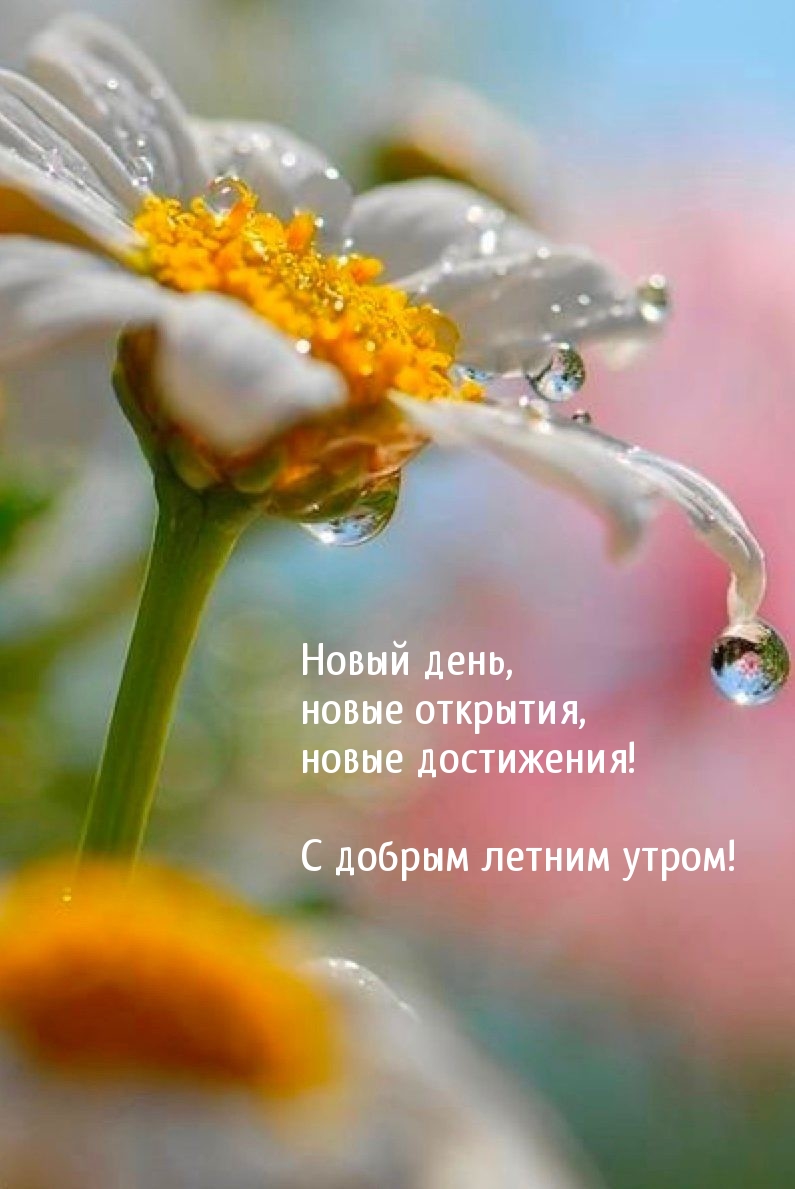 imagetext_ru_26353.jpg