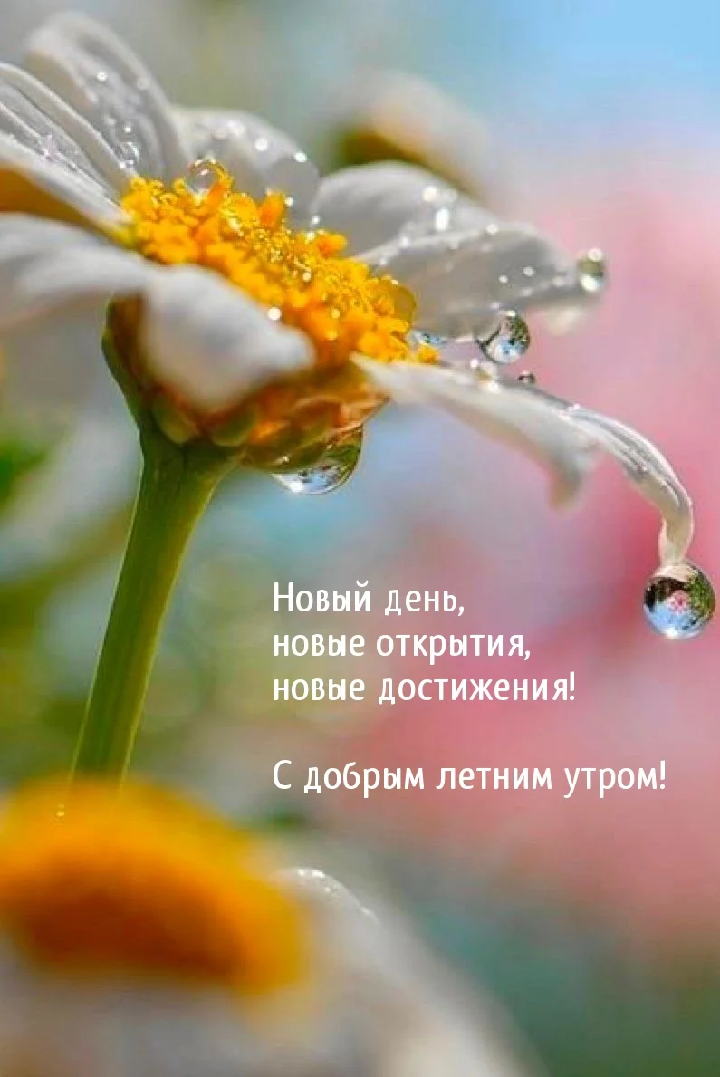 imagetext_ru_26353.webp