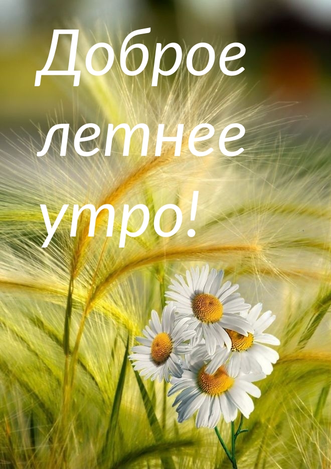 imagetext_ru_26562.jpg