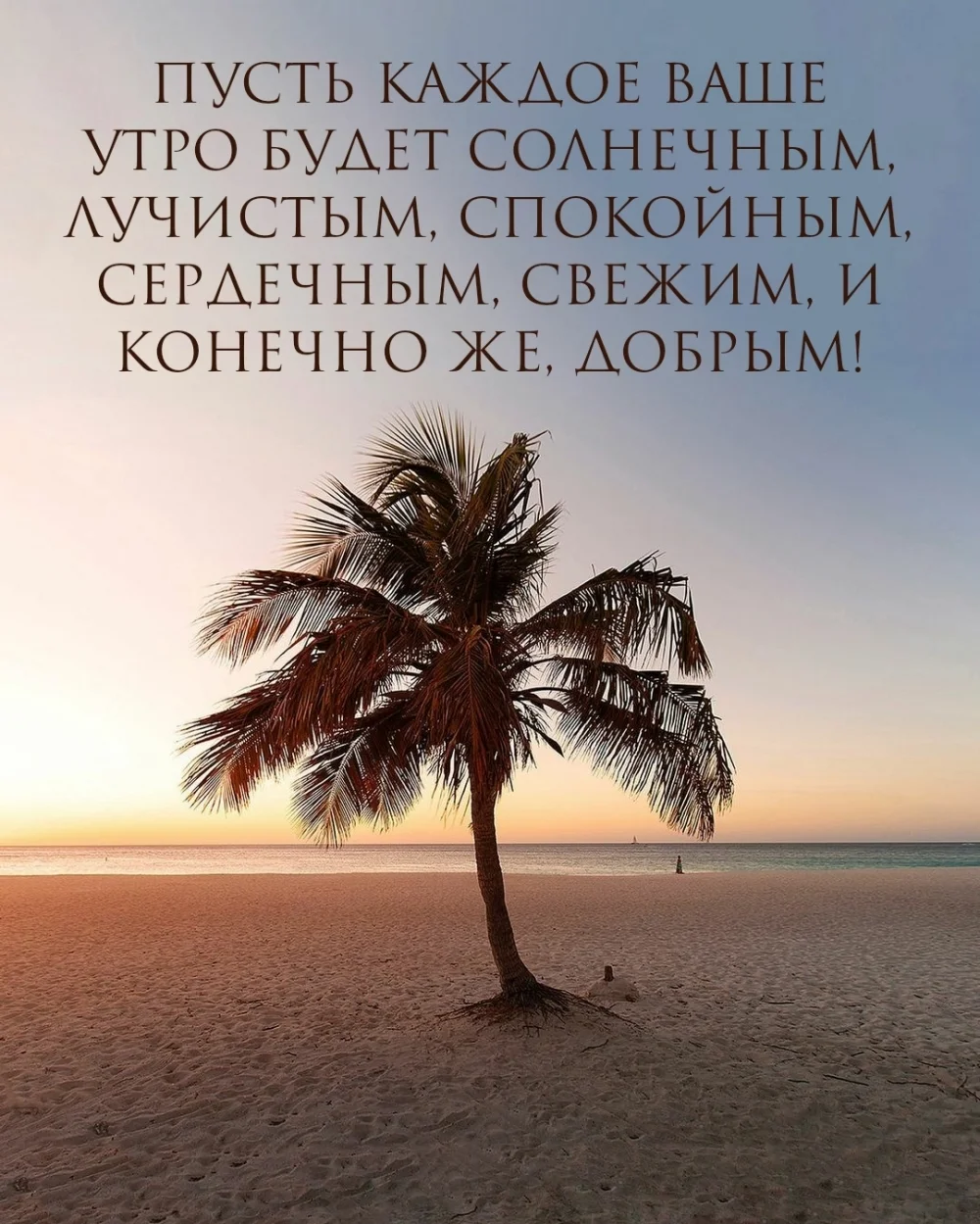 imagetext_ru_26675.webp