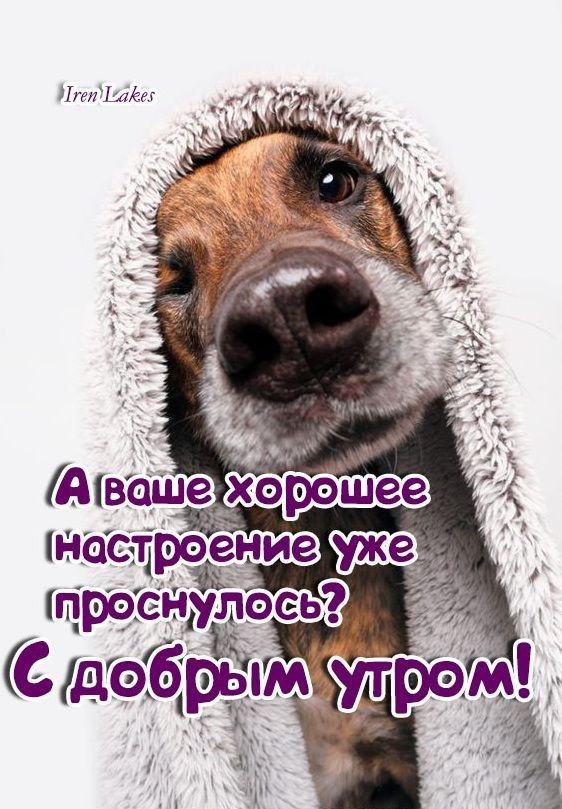 IMG-1c30ebcbf8aede297c2fc2c213d3e0ec-V.jpg