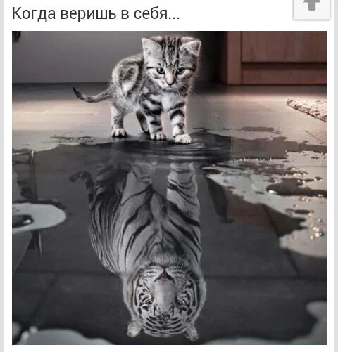 IMG-20151114-WA0004.webp