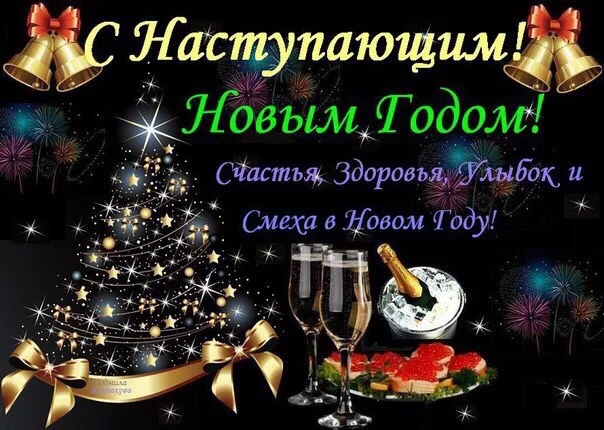 IMG-20151231-WA0004.webp
