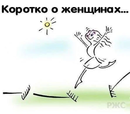 IMG-20160209-WA0001.webp