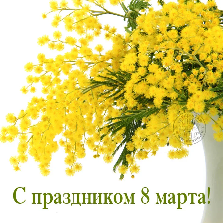 IMG-20160308-WA0000.webp