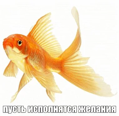 IMG-20160611-WA0001.webp