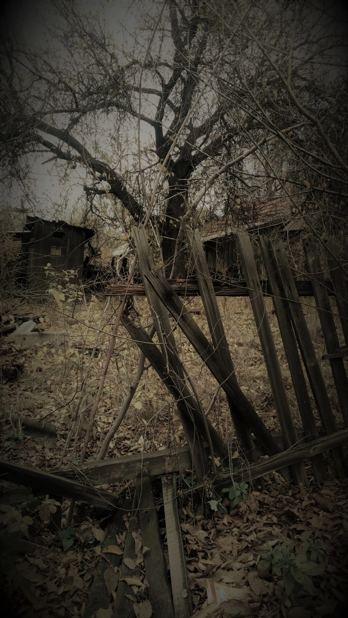 IMG-20171106-WA0005 грустно 1990.webp