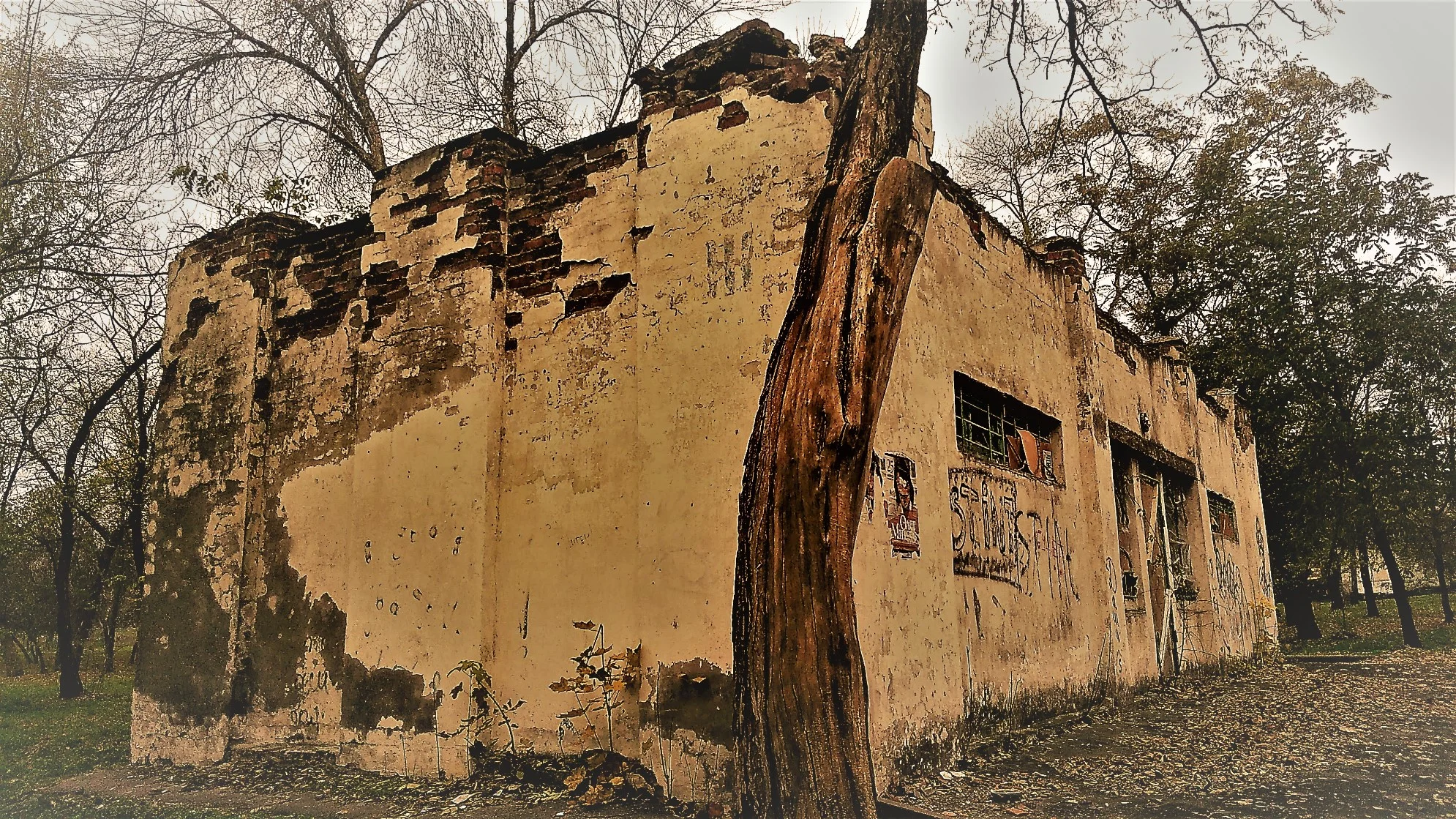 IMG-20171109-WA0004 2 1990.webp