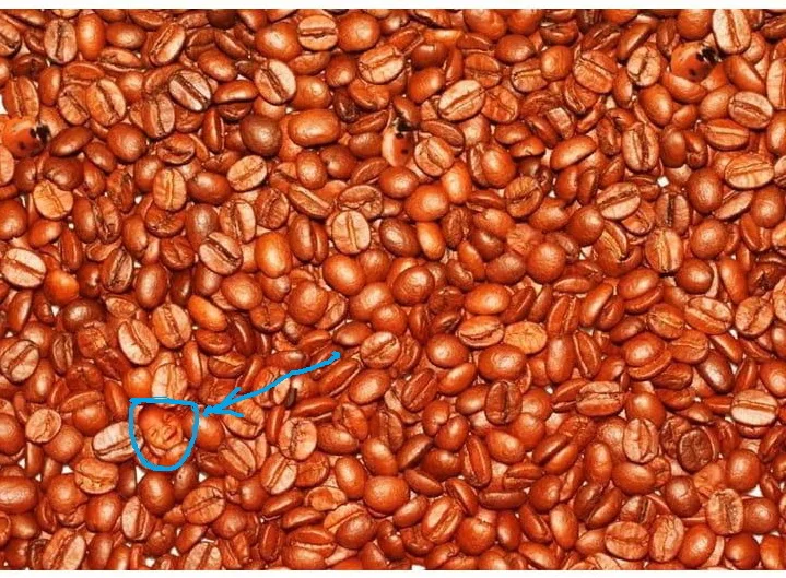 IMG-20200126-WA0005 1.webp