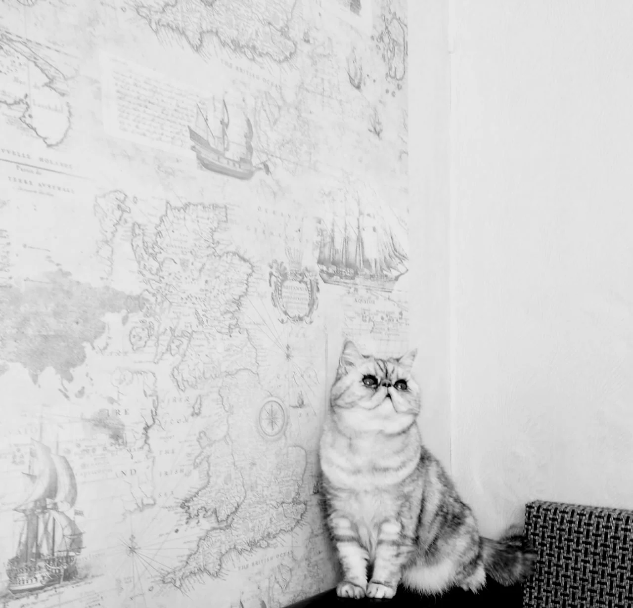 IMG-20200705-WA0002 (1)уц.webp