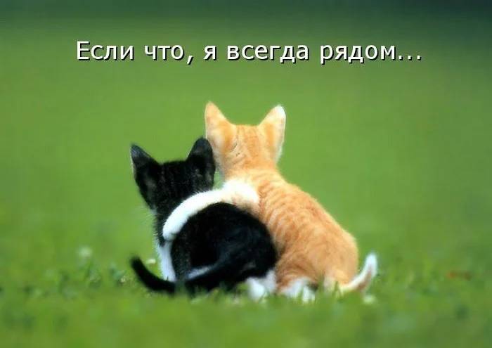 IMG-20200724-WA0010.webp