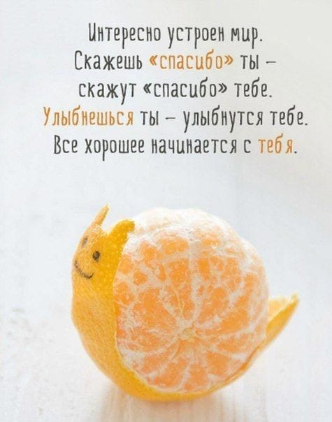 IMG-20201126-WA0001.jpg
