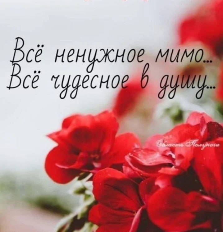IMG-20231014-WA0070.webp