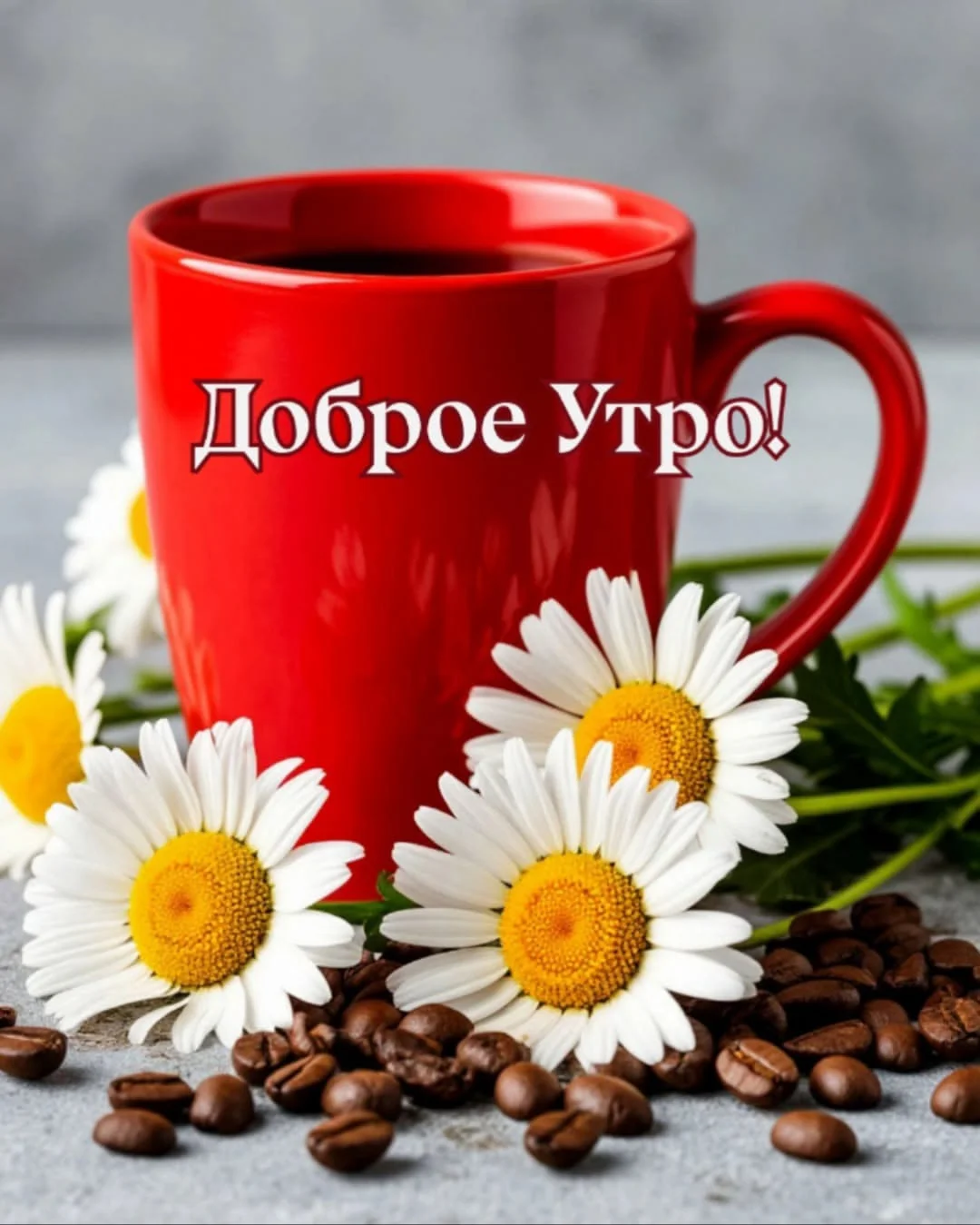 IMG-20250619-WA0000.webp