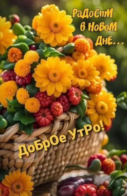 IMG-20250715-WA0000.webp