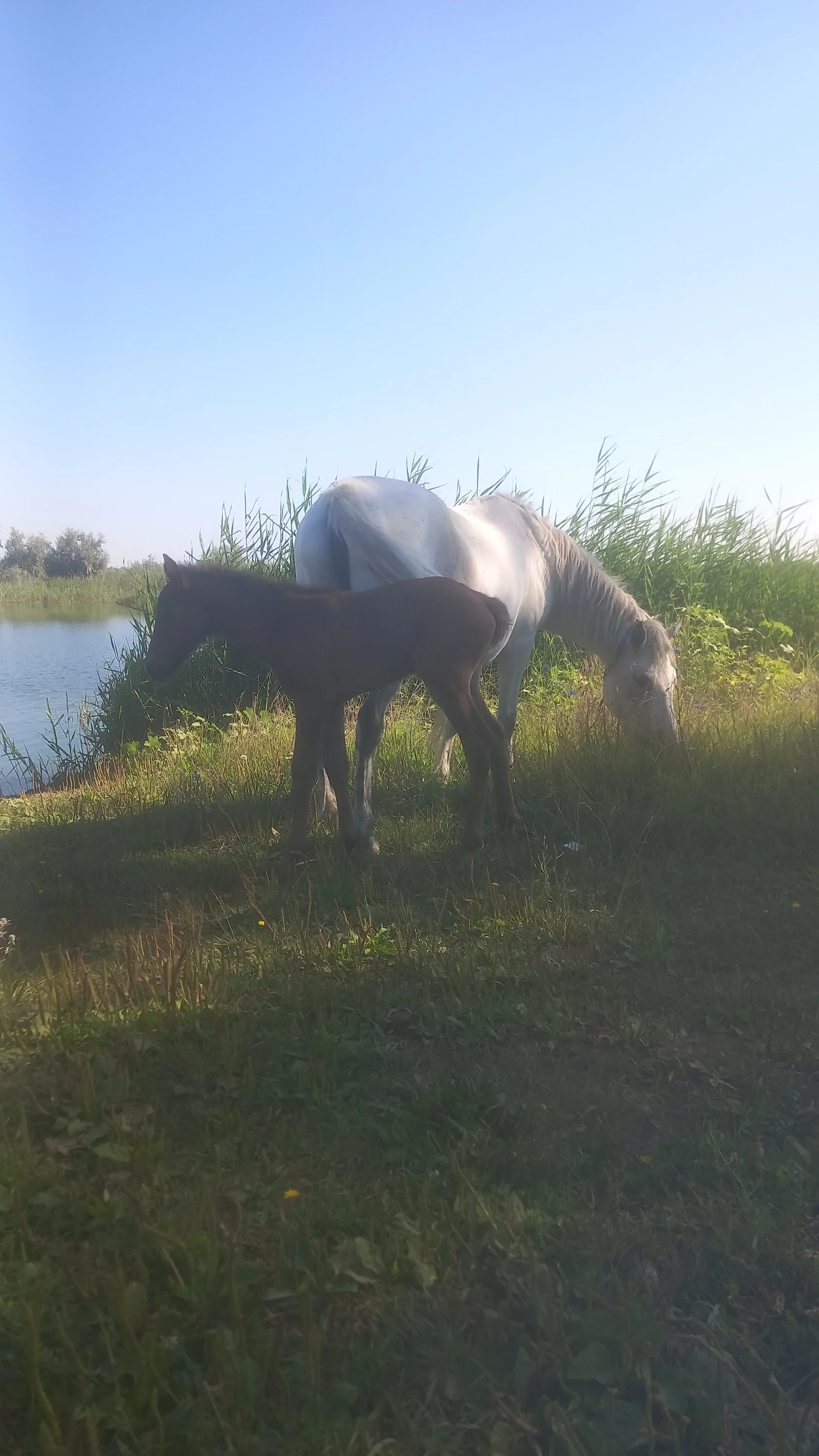 IMG-20250730-WA0003.webp