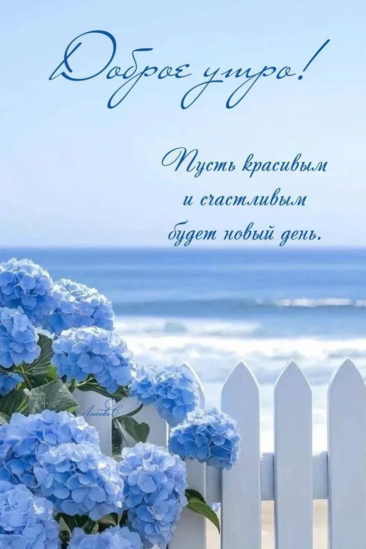 IMG-20250813-WA0000.webp