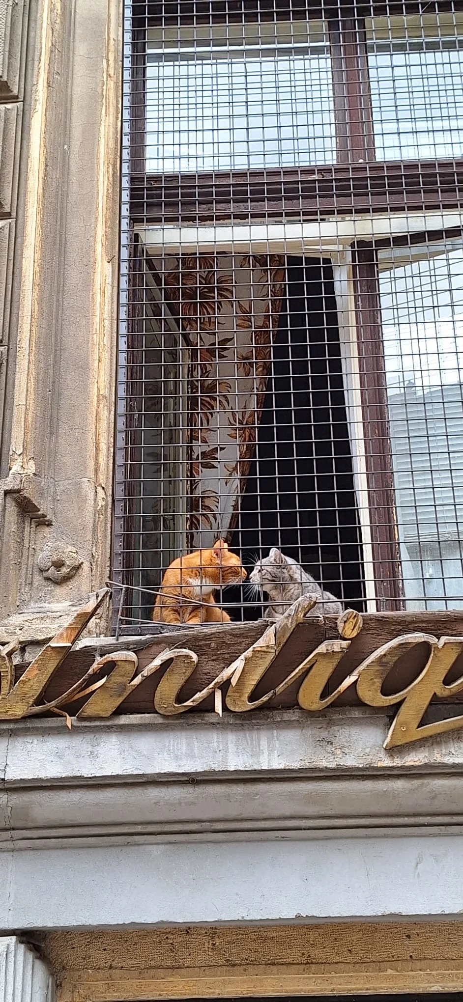 img-20250919-wa0017-webp.2221083