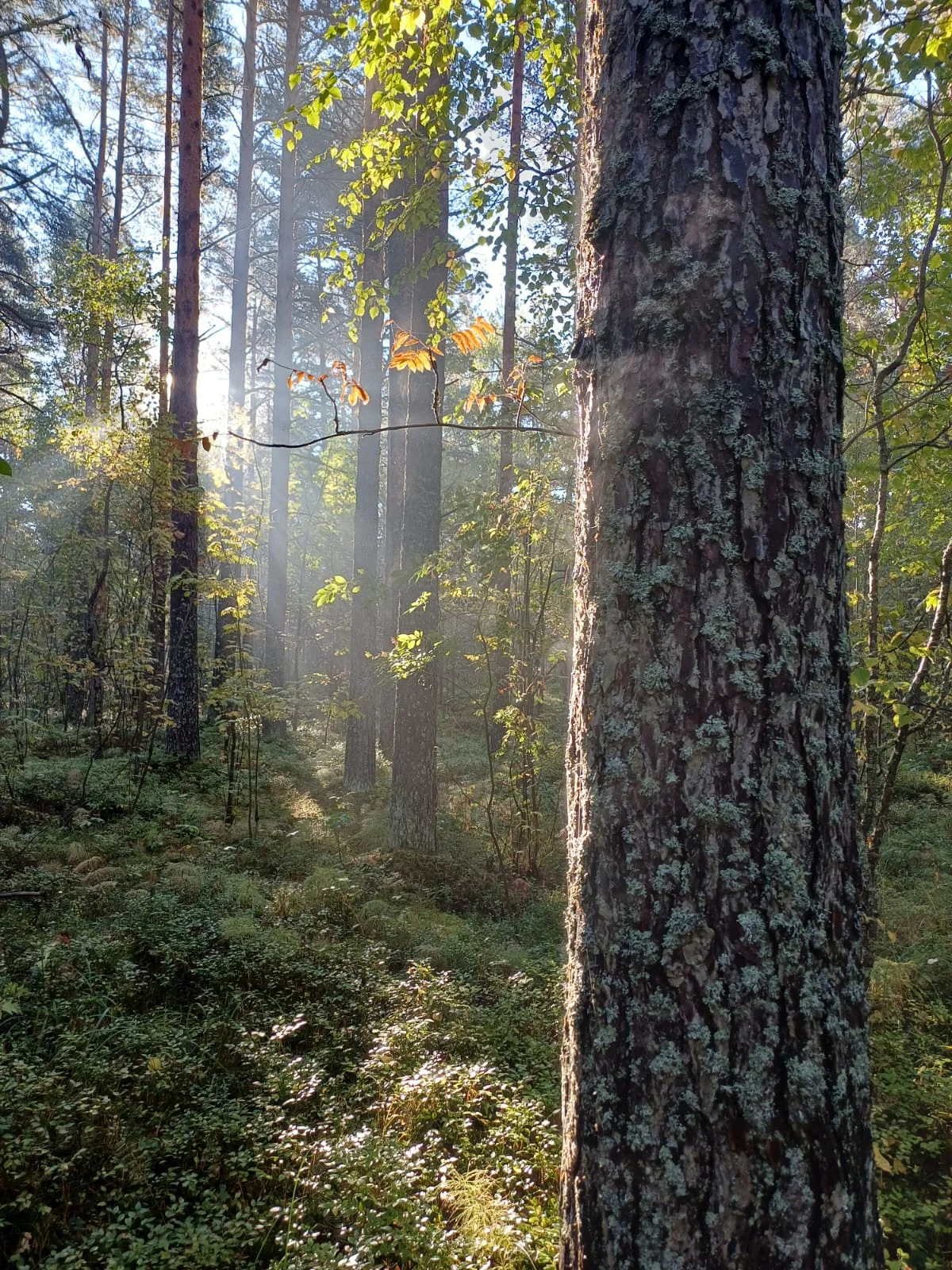 IMG-20250921-WA0005.webp