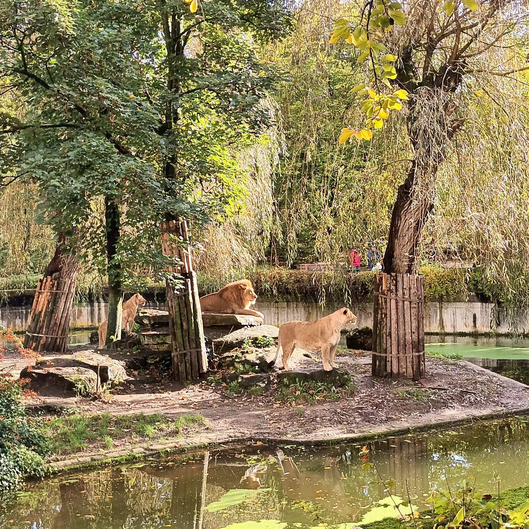 img-20251004-wa0010-webp.2223382