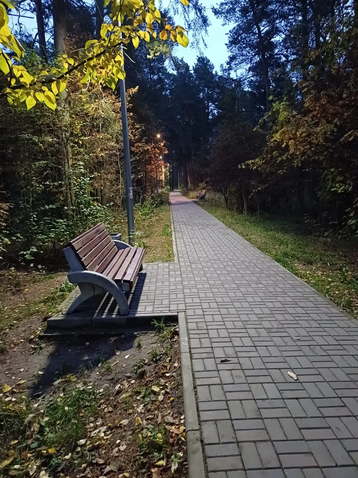 img-20251007-wa0019-webp.2227238