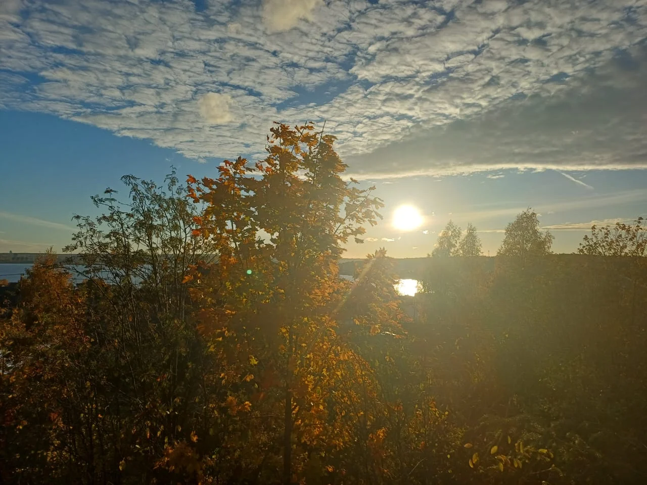 IMG-20251008-WA0004.webp