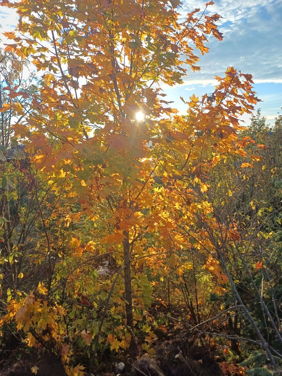 IMG-20251008-WA0005.webp