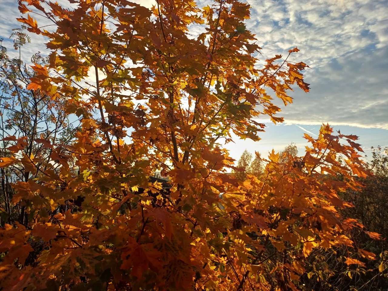 IMG-20251008-WA0006.webp