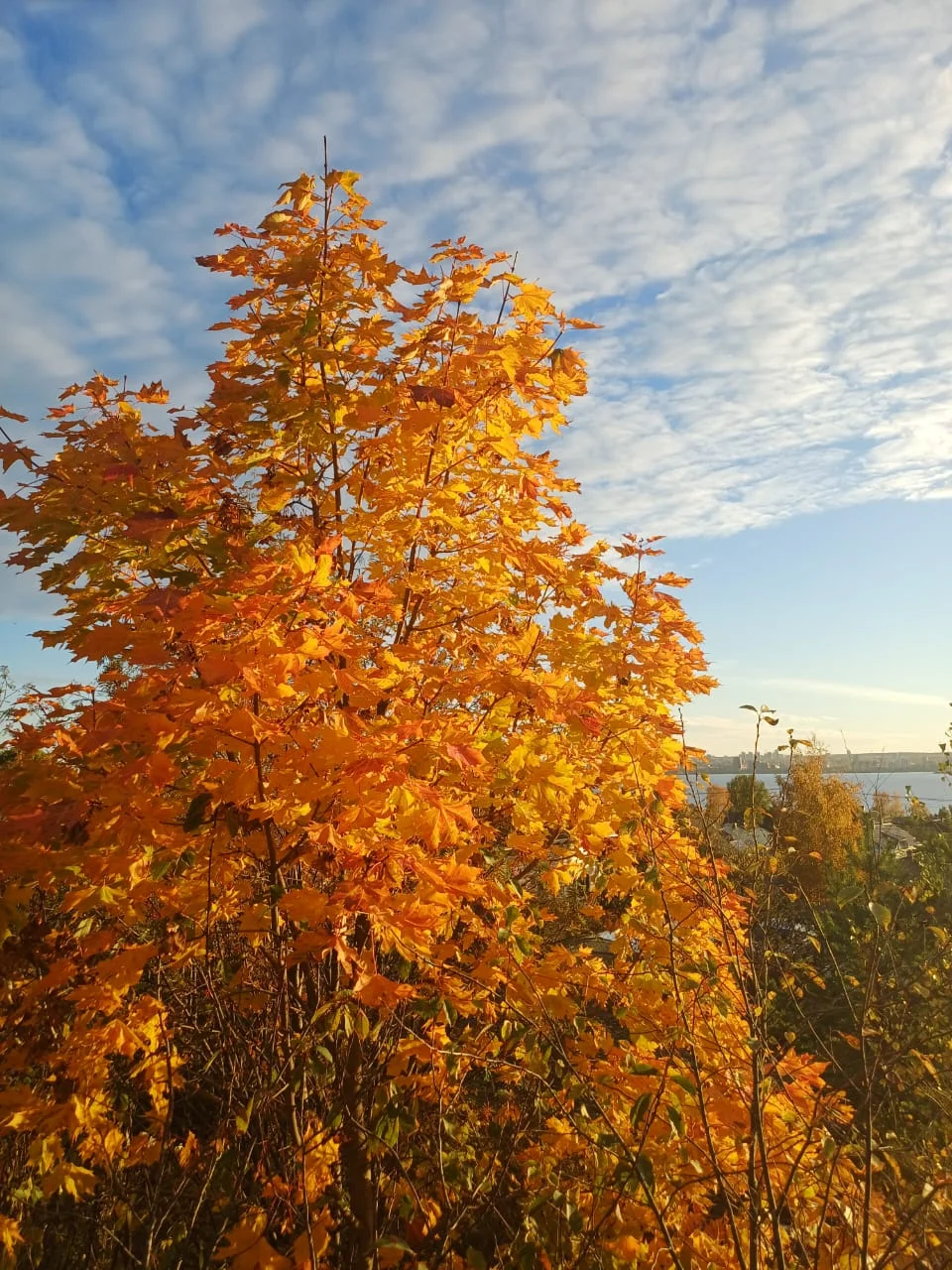 IMG-20251008-WA0008.webp