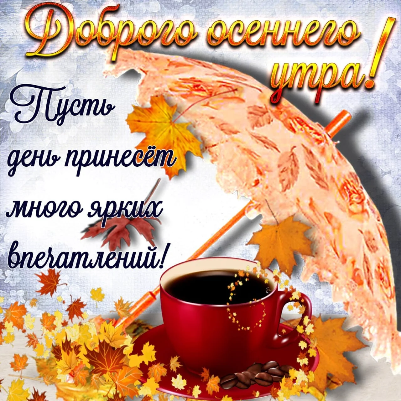 IMG-20251014-WA0000.webp