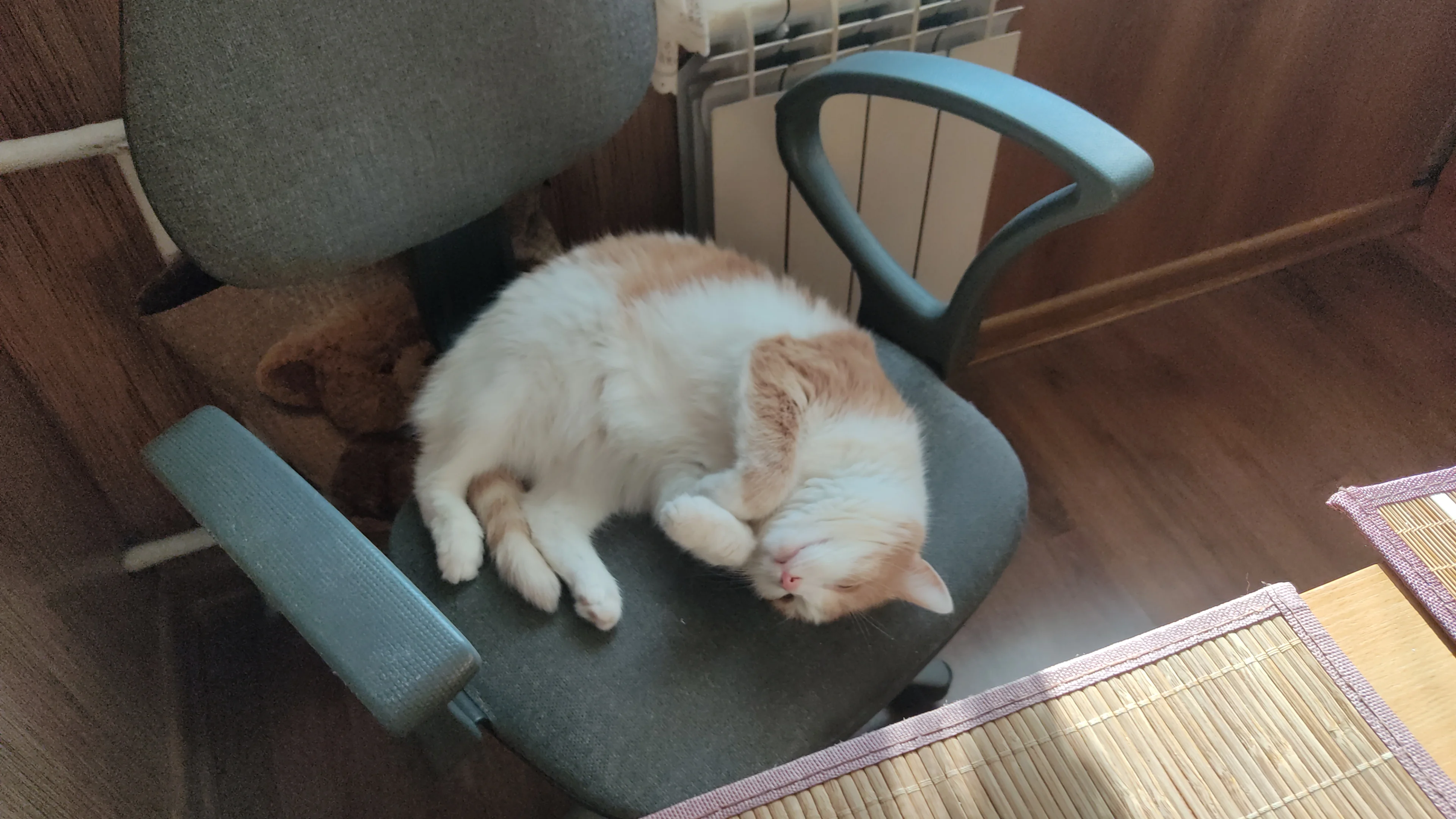 IMG-c40b46cd4a0be5c3b9f5a438be4c785b-V (1).webp