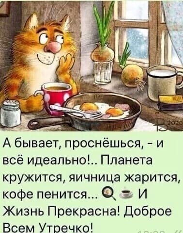 IMG-e5047cd59ec40a46d459ad23ad97d4bd-V.jpg