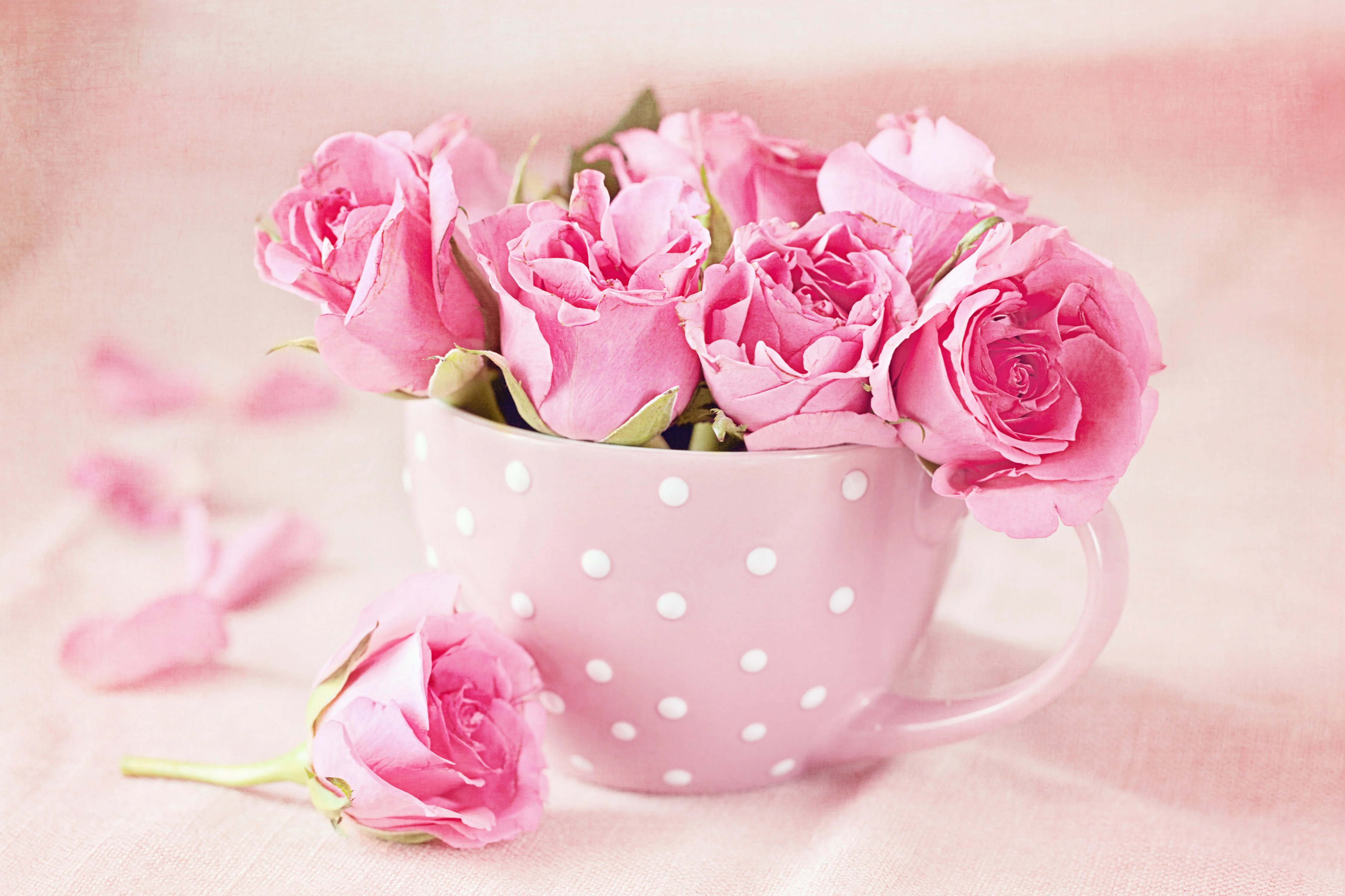 img1.wallspic.com-pink_roses_on_white_and_black_polka_dot_ceramic_teacup-5200x3466.webp