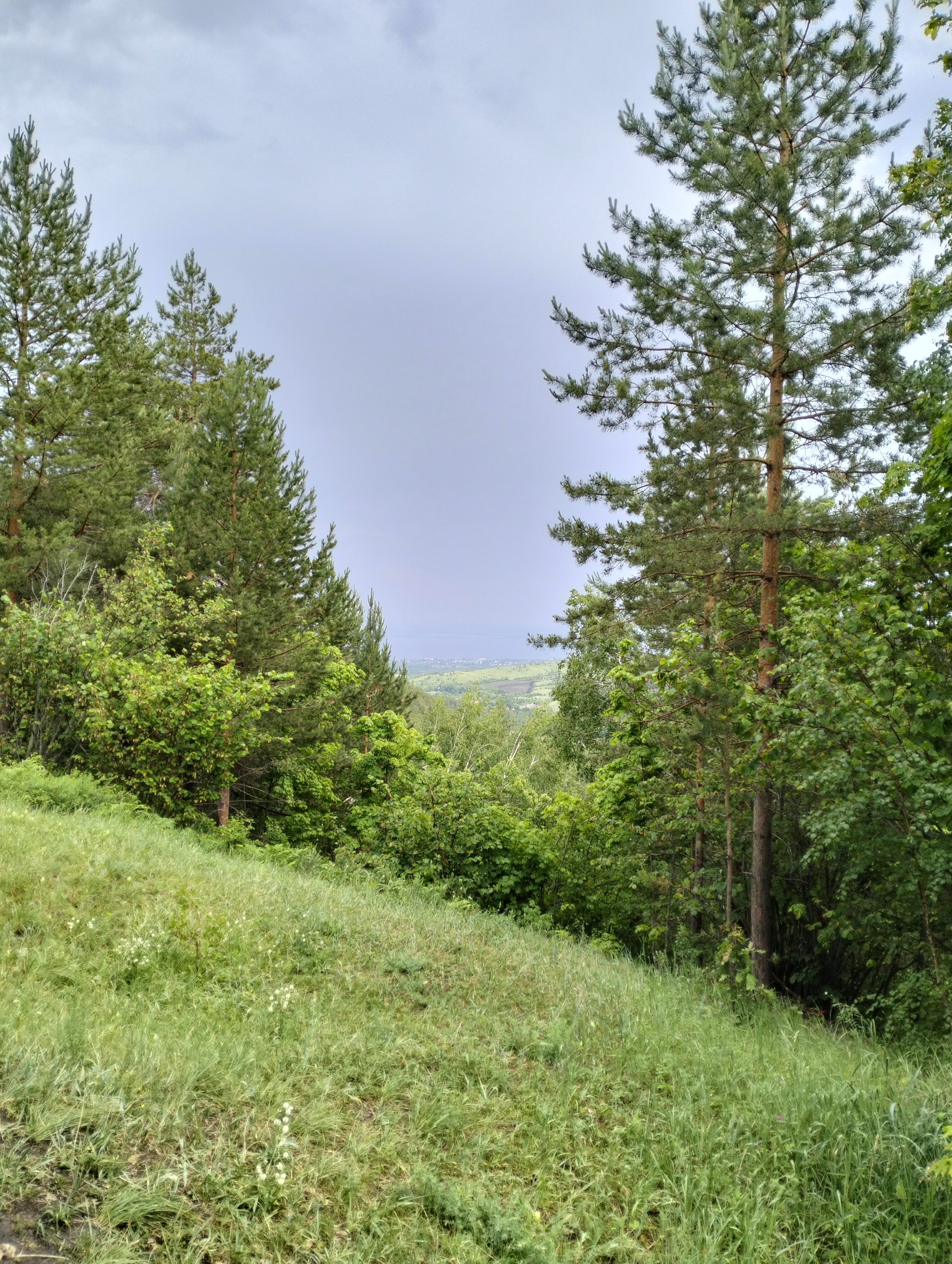 IMG20240608155511.jpg