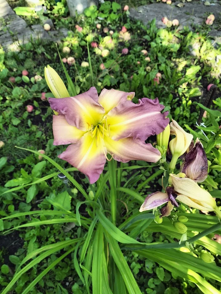 IMG20250802173519 (1).webp