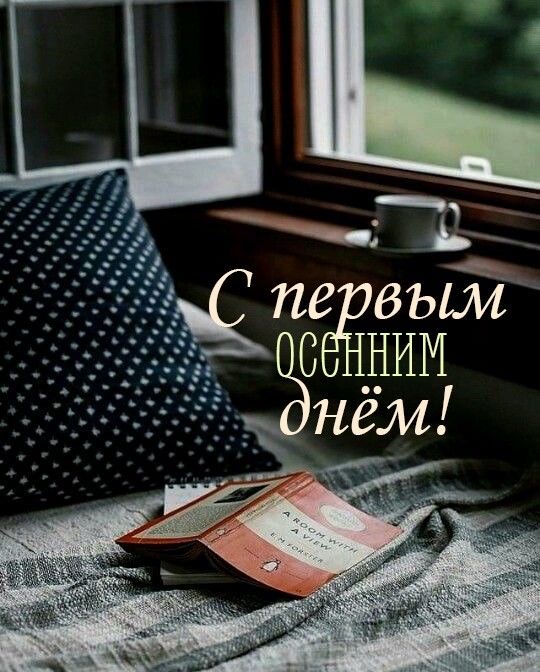 IMG_0107.jpeg