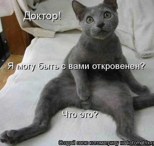 IMG_0149.webp