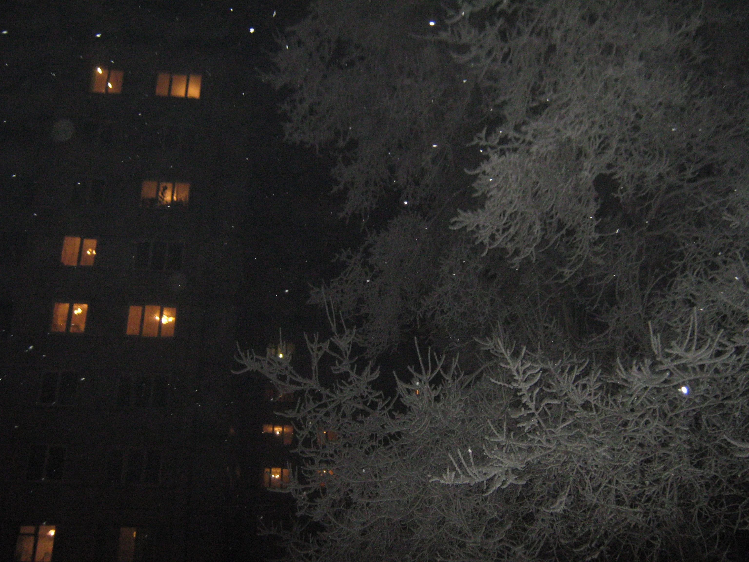 IMG_0280.webp