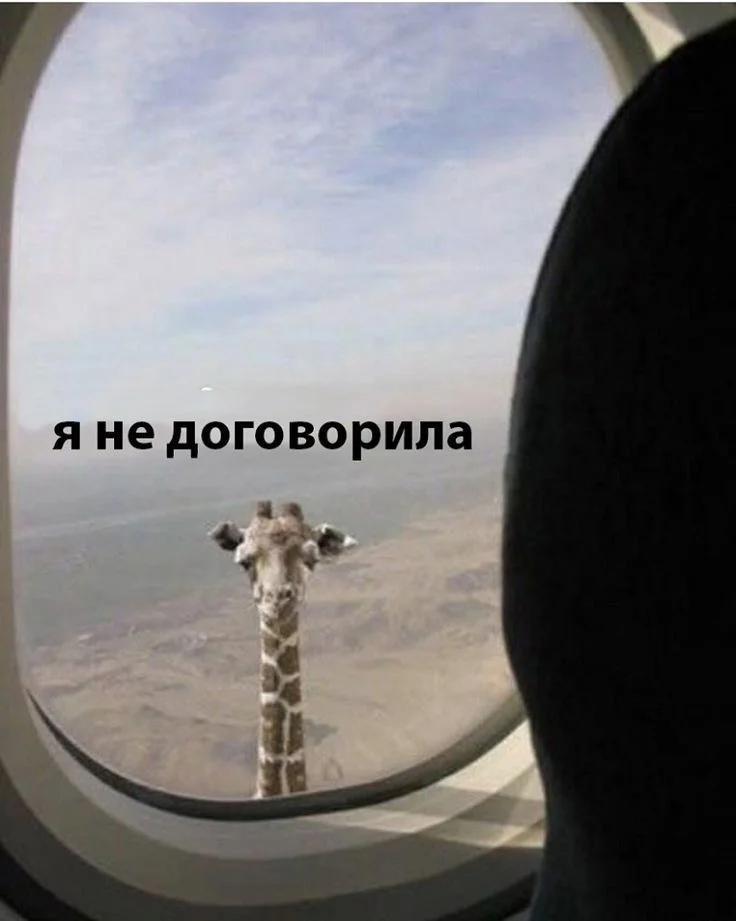 IMG_0329.webp