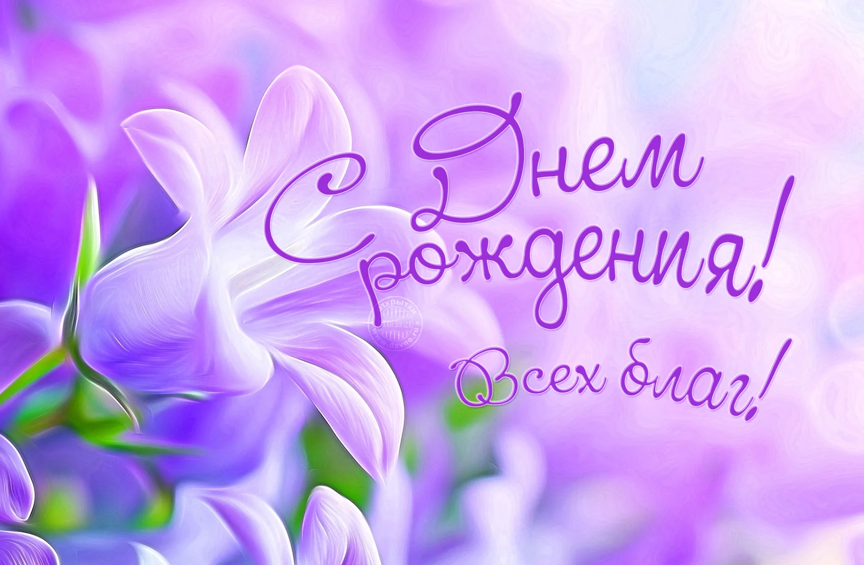 IMG_0903.webp
