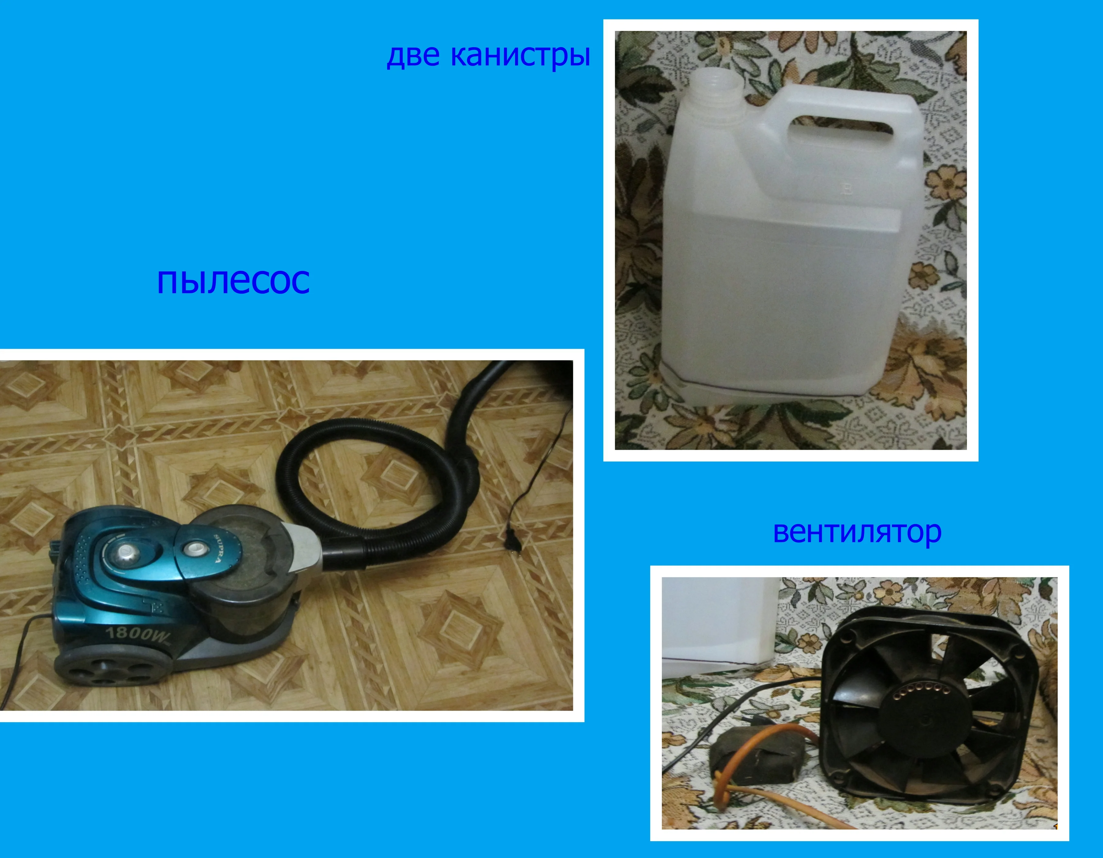 IMG_1207_Fotor_Collage_Fotor.webp