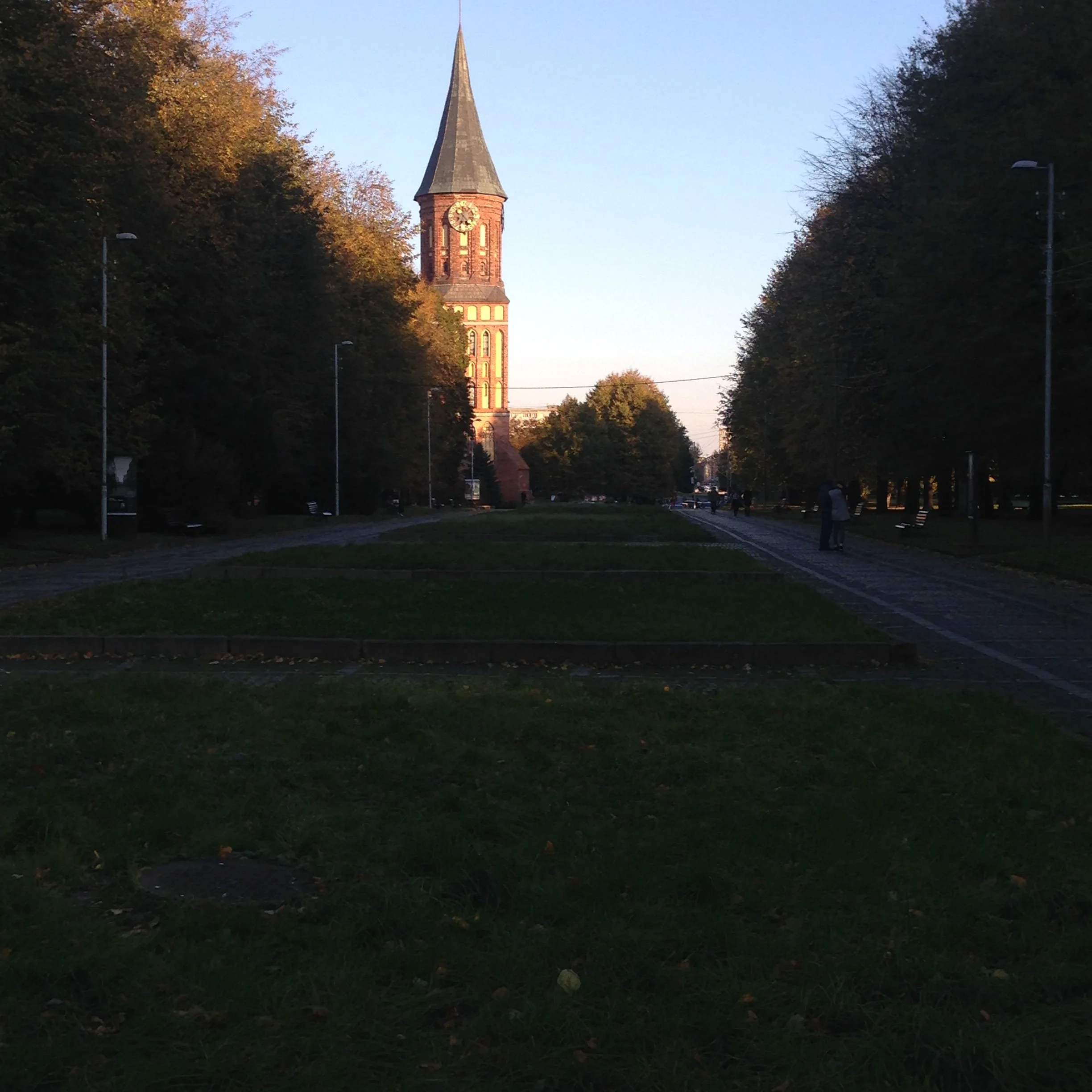 IMG_1521.webp