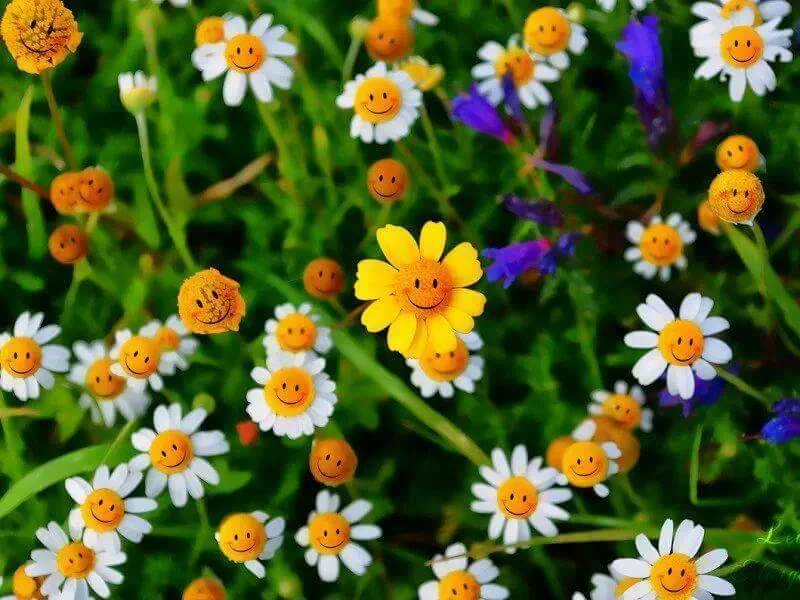 IMG_156943234684304.webp